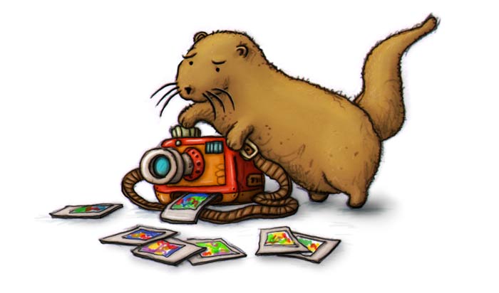 Otter Camera