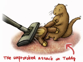 teddy attack