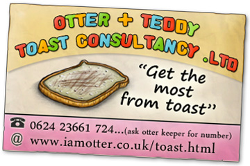 toast consultancy business card