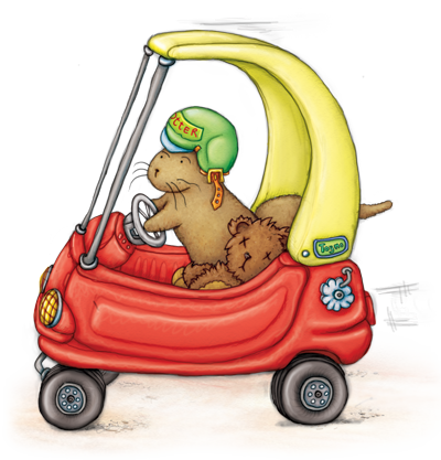 Otter-Driving-Car Otter in car