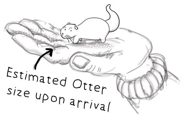 estimated-arrival-size